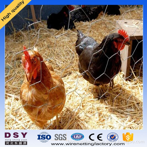 Professional Hexagonal Iron Wire Netting